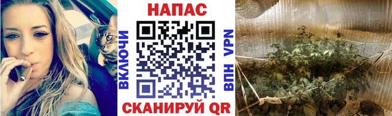 Купить закладку A-PVP Меф мяу мяу Галлюциногенные грибы ГАШИШ Каннабис Cocaine Нальчик