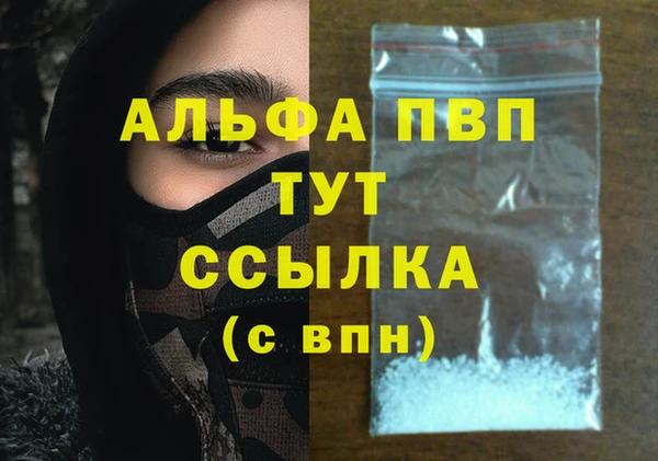 гашик Нефтекумск