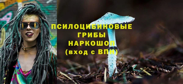 гашик Нефтекумск