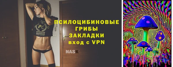 гашик Нефтекумск