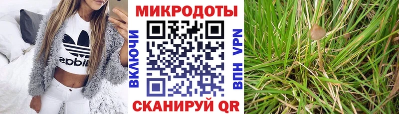 Галлюциногенные грибы Magic Shrooms  Купить где  Нальчик 